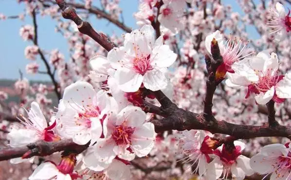 全部的成语！太齐全了，值得收藏！