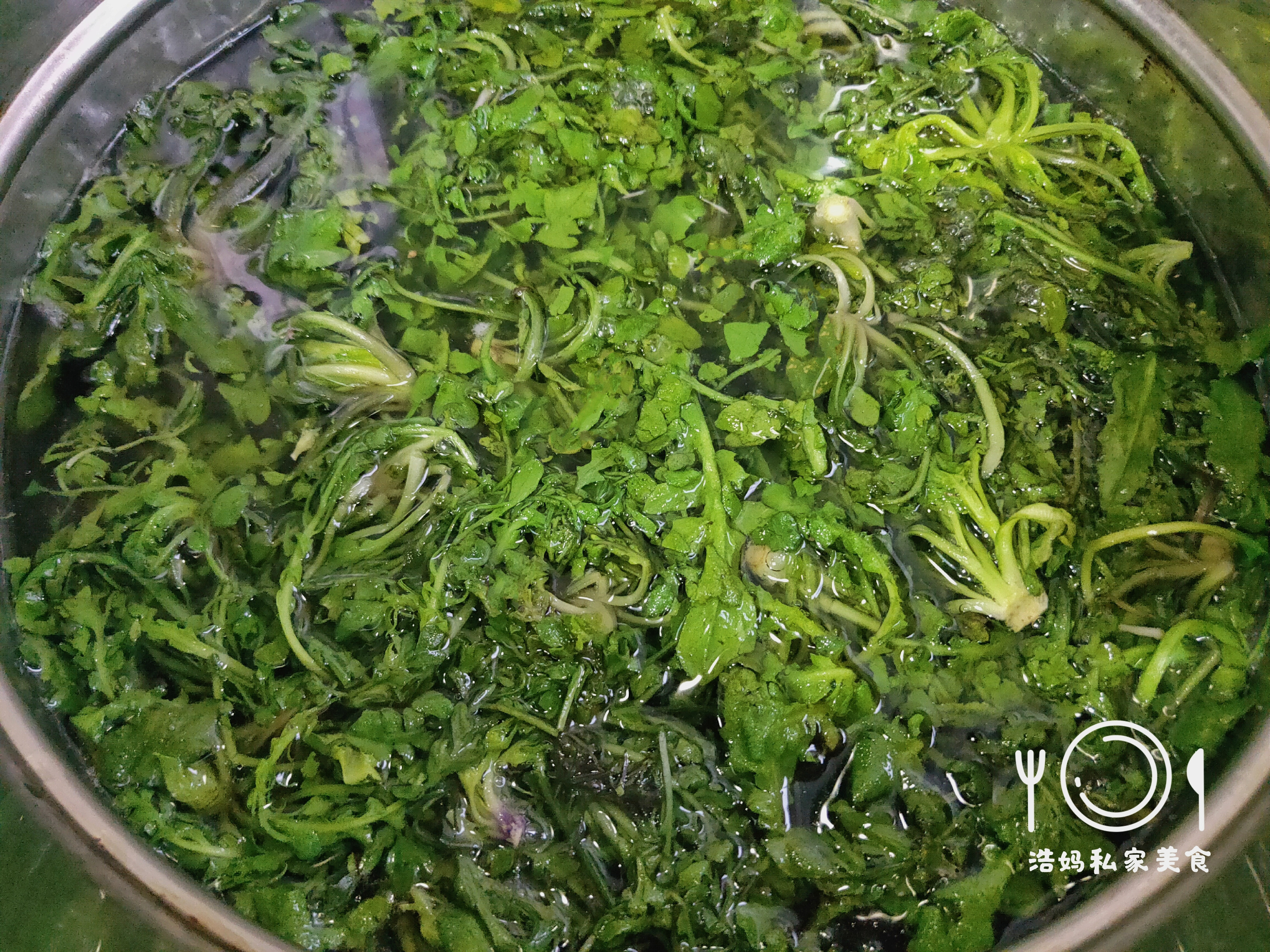 开春第一鲜，吃上一口用嘴感受春天的美好，内含处理荠菜的小技巧