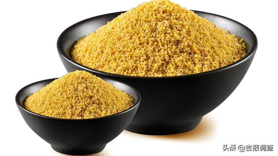 粟米的功效与作用及食用方法粟米的营养及适应人群