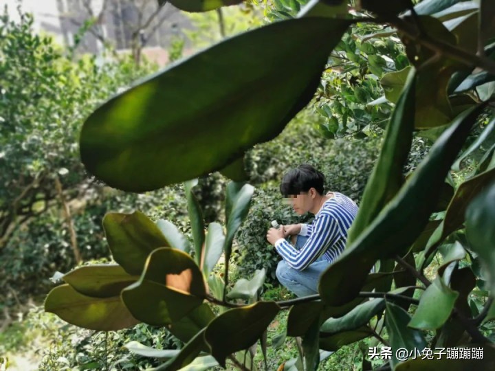 地下器官移植交易调查：买肾人花55万，卖肾人只得4.5万