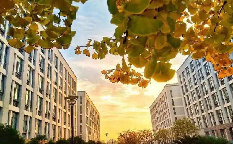 211大学前十排名，两财一贸表现“亮眼”，南京理工跻身前五