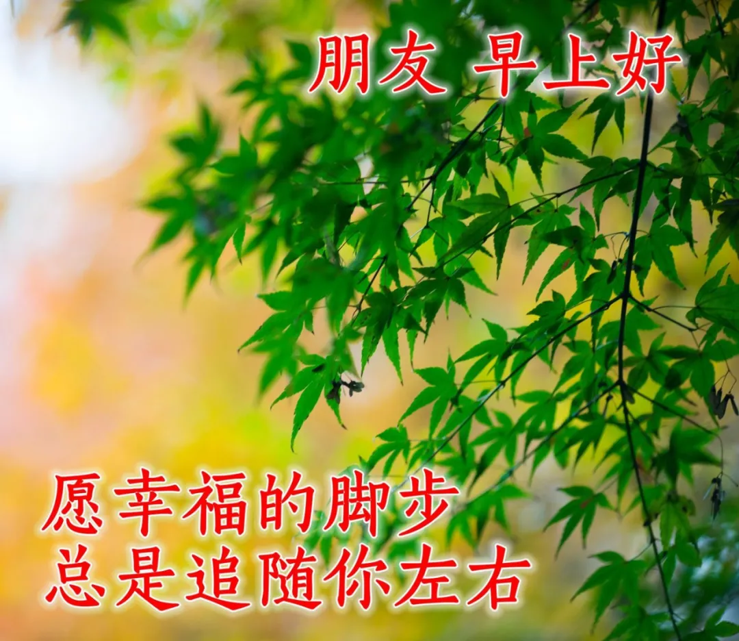 早安祝福好朋友的早安唯美图片 精辟现实的早安说说