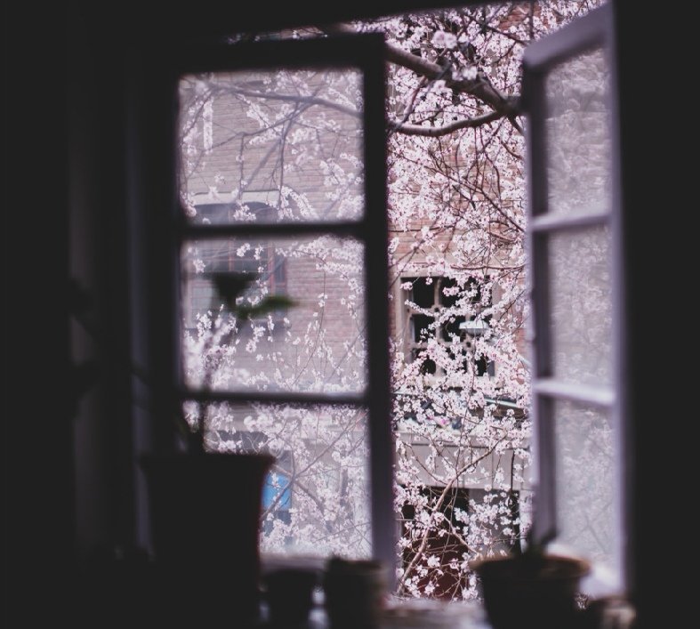 20首三月诗词，有风雨，有暖阳，有花开，有人推开窗望向远方