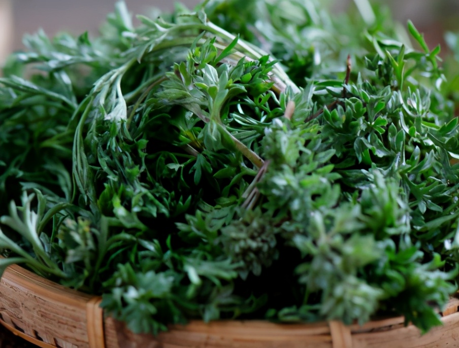 白蒿是个宝,春天不能少,营养又润燥,隔三差五吃点,对身体特好