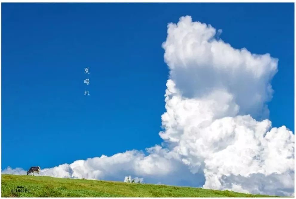 日本这位小哥每拍一张照片，就能引来无数网友围观！看...