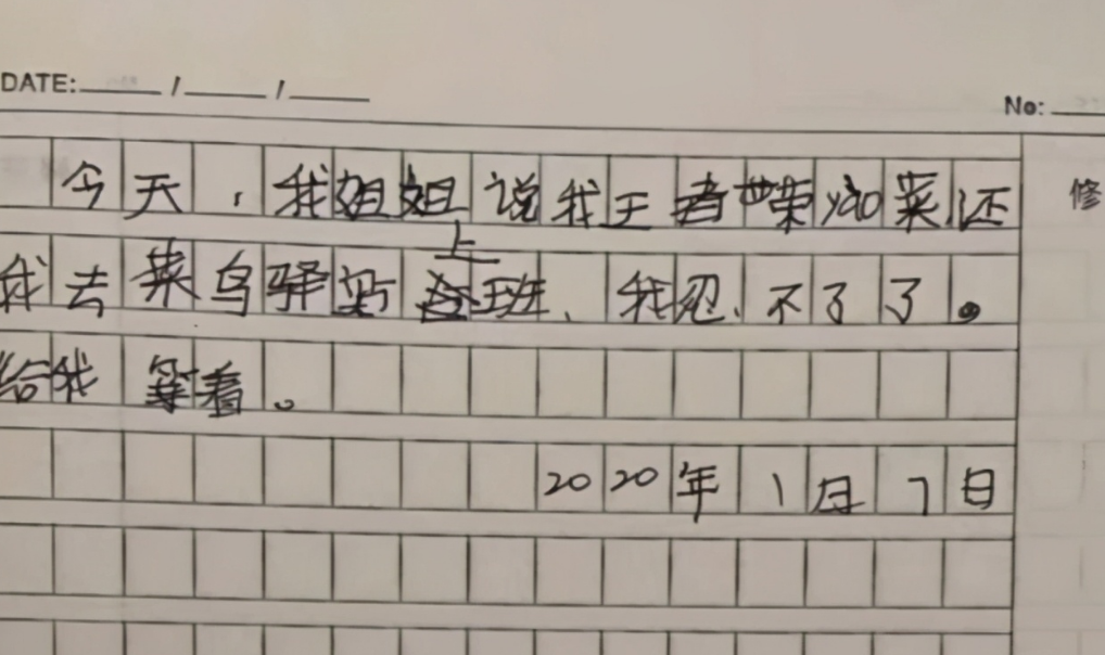 小学生的日记能有多可爱？老师看后哈哈大笑，网友：记仇小天才