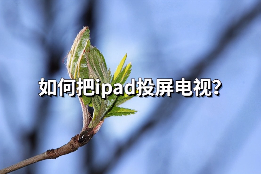 ipad投屏的设置在哪（ipad投屏到电视教程）