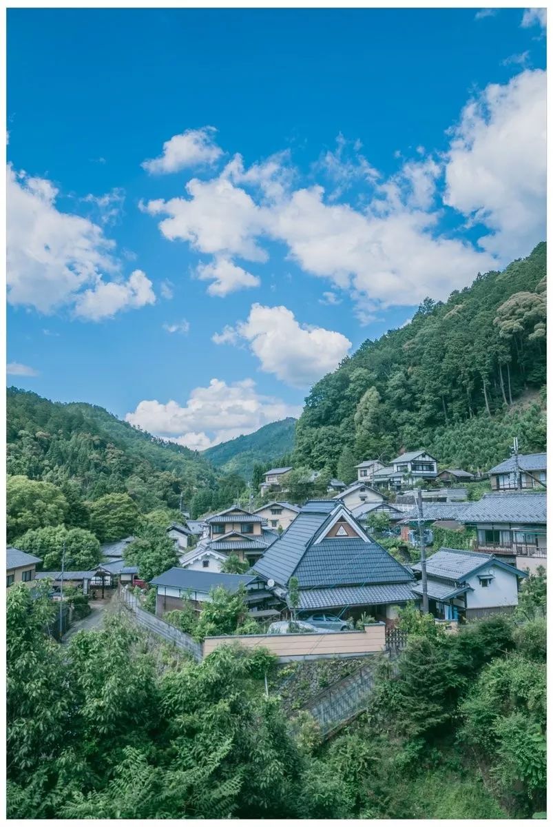 日本这位小哥每拍一张照片，就能引来无数网友围观！看...