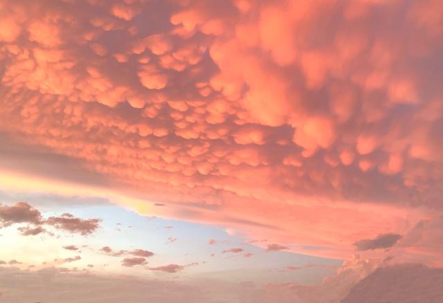 大连外国语大学录取分数全解析！报考大外的赶快收藏