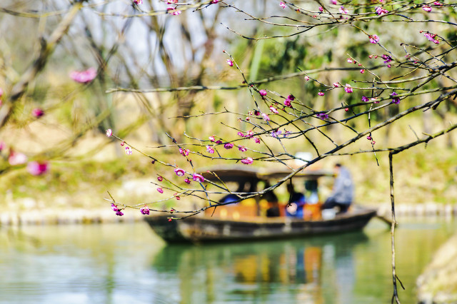 杭州旅游景点有哪些景点？杭州旅游十大必去打卡景点推荐-第141张图片