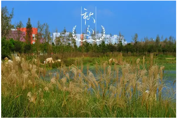 这里，是电子科技大学！