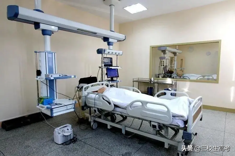 报考上海立达学院专升本，竟然还有免费游学大礼包