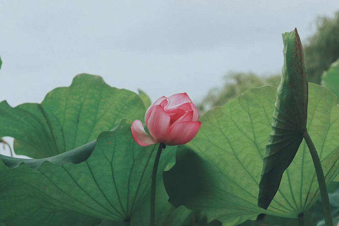 怀德学院“心怀正气 尚德倡廉”文化作品展