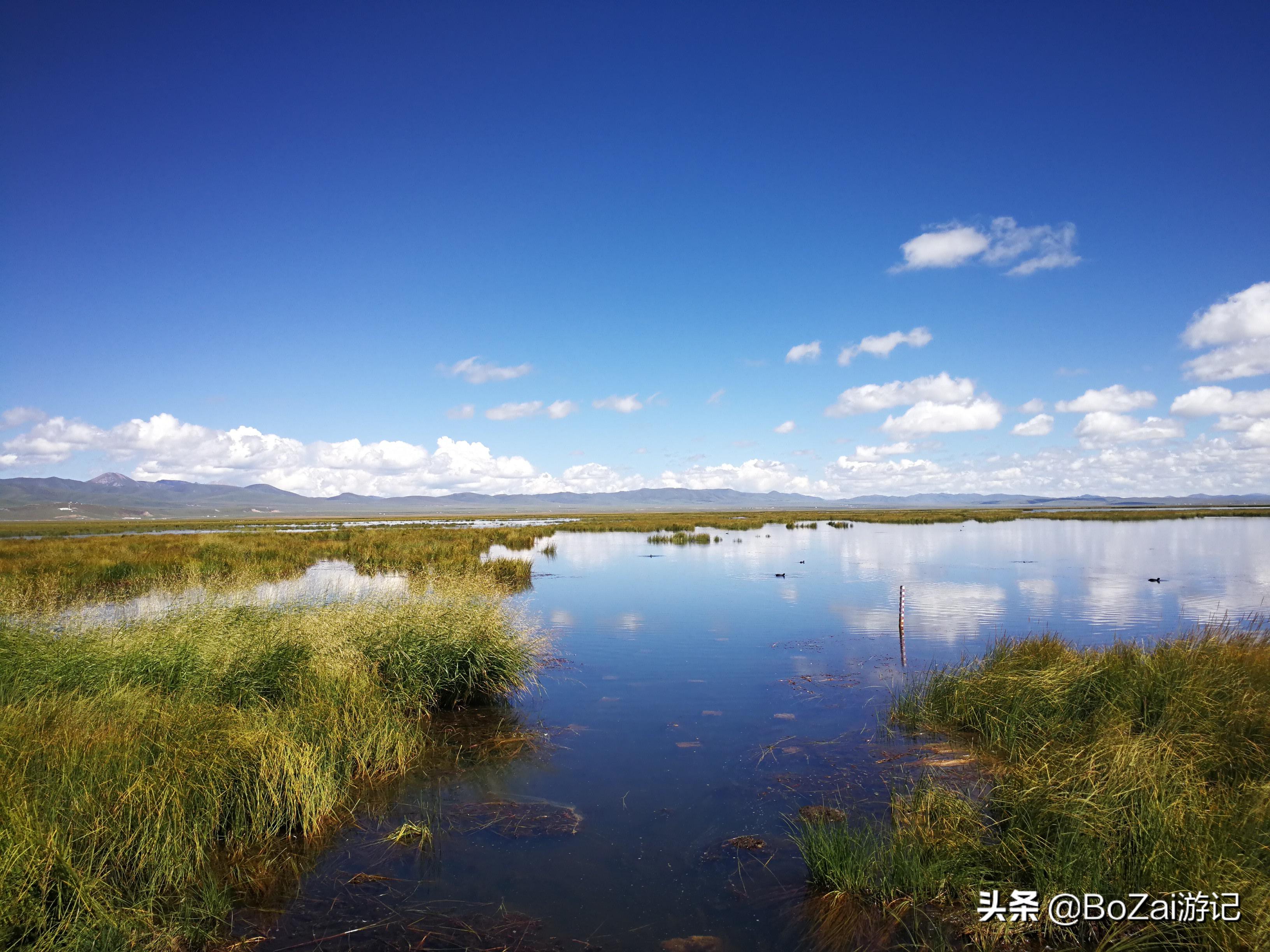 到四川阿坝旅游不能错过的19个景点，你去过几个？最爱哪个景点