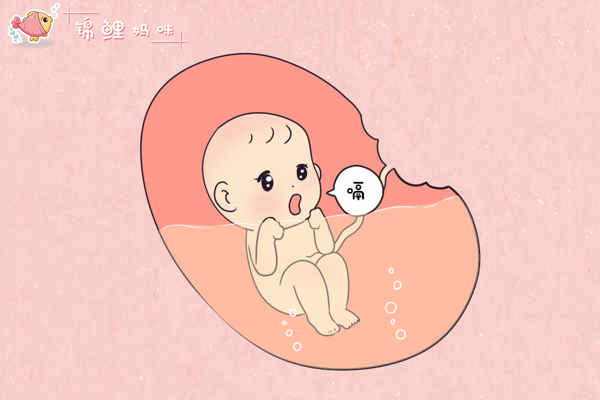 还有的时候,孕妈会感到"胎动"的节奏感很强,会出现一抖一抖的情况,这