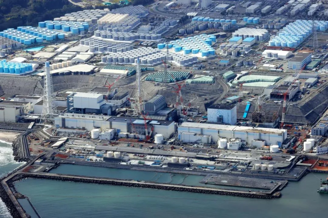 报应来了！福岛核泄漏：生物变异、放射性物质回流，日本首当其冲