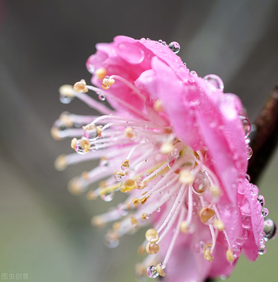 阳光雨露皆是风景，人生亦是如此