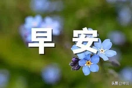 早安心语：生命没有输赢，只有值不值