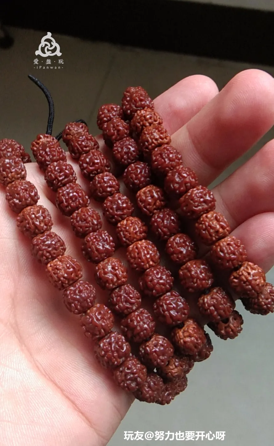 金刚多少钱(金刚砂多少钱一平米)-我的快乐小窝