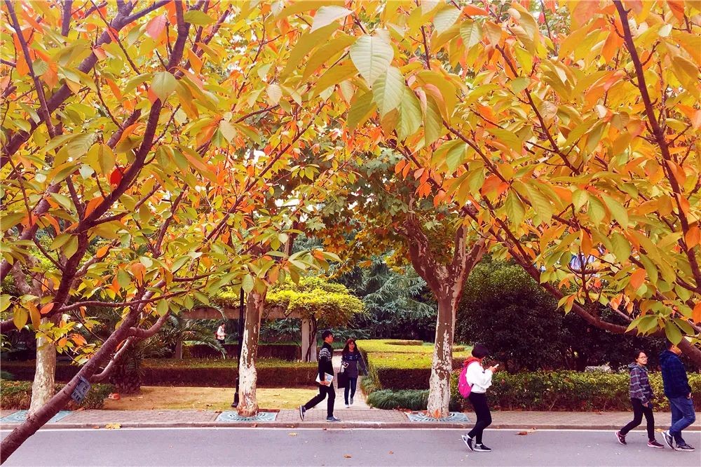 权威发布！东华大学2021年本科招生章程
