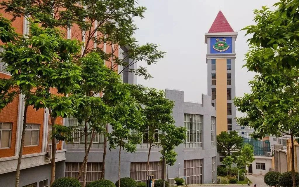 东莞初中学校中考成绩汇总！哪间学校实力更强