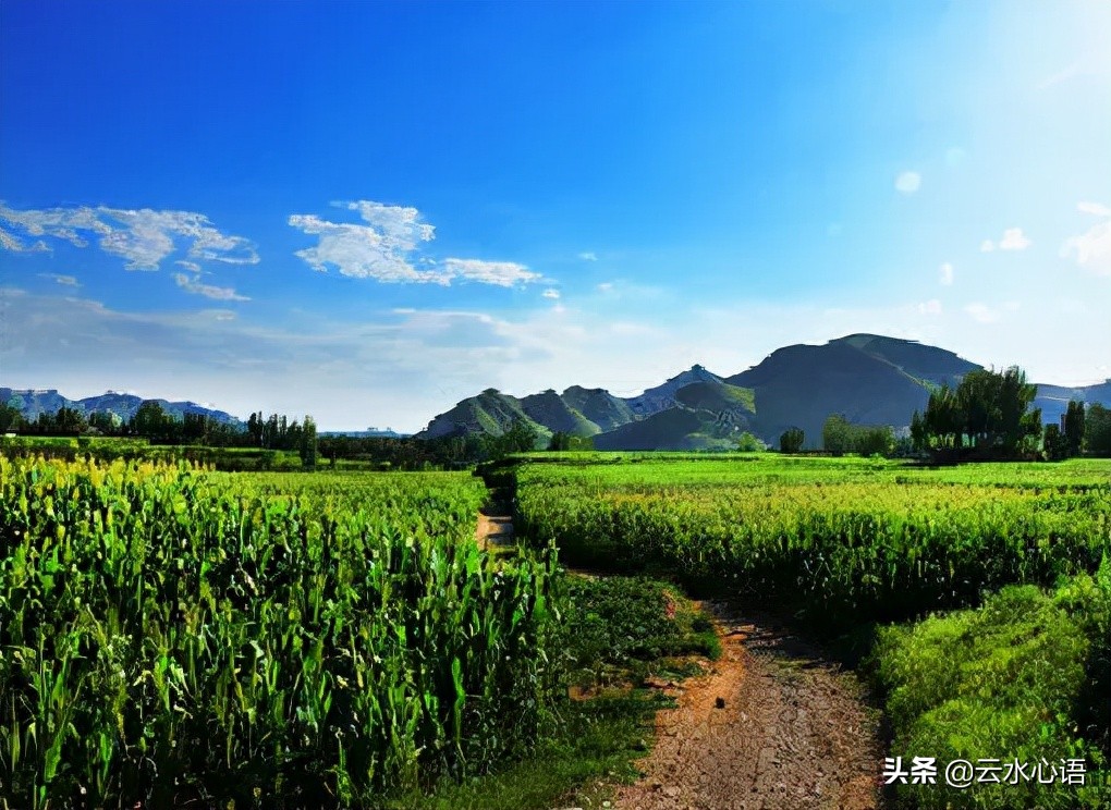 两首描写闲步的五律，恬静悠闲，读完让人忘记了烦忧