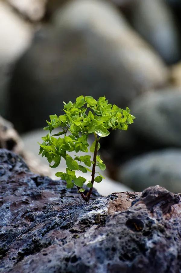 此去经年，不负遇见；遇见，就是一种美好