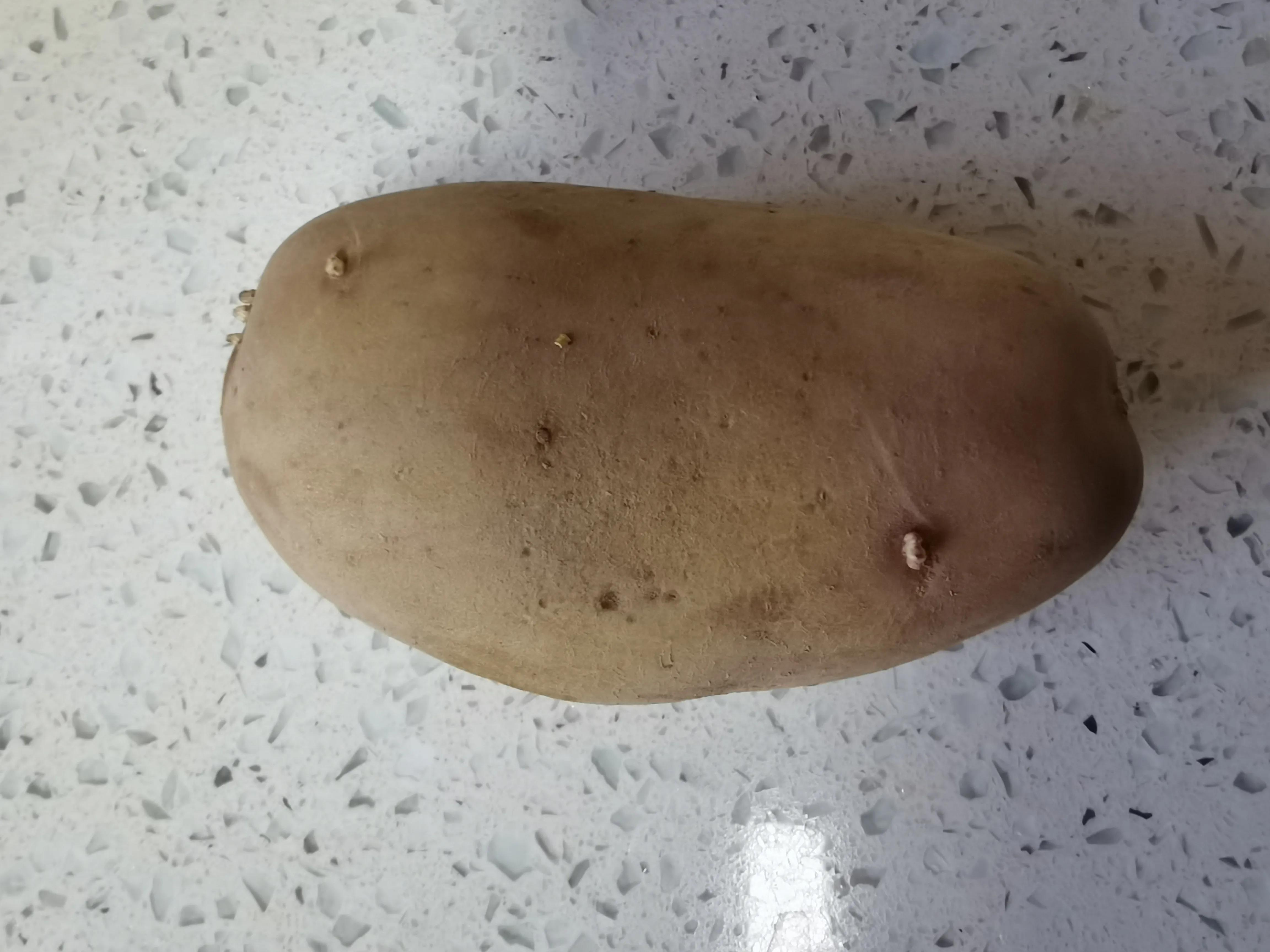 发芽的土豆能不能吃，吃了会有怎样的危害呢
