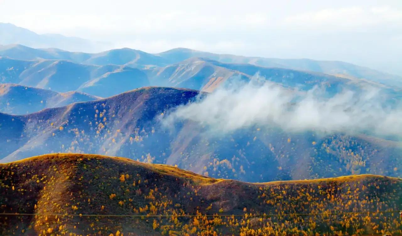 秋游六盘山（散文）