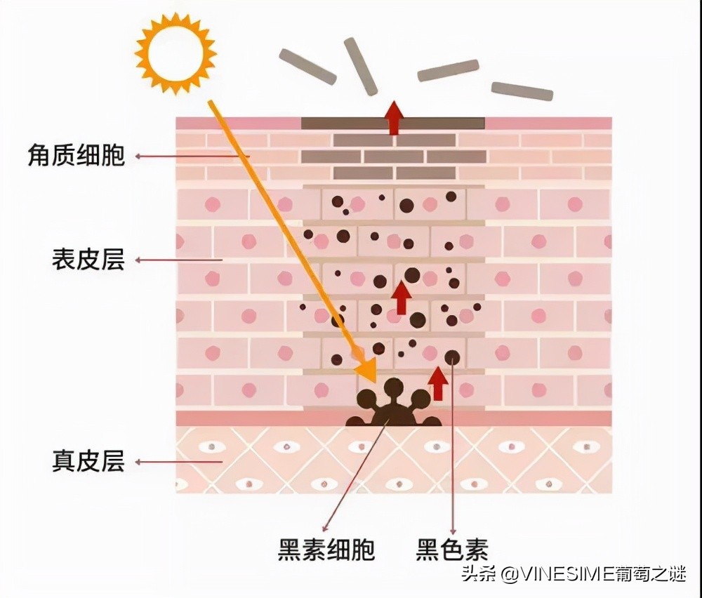 你以为打美白针就能实现永久美白吗？