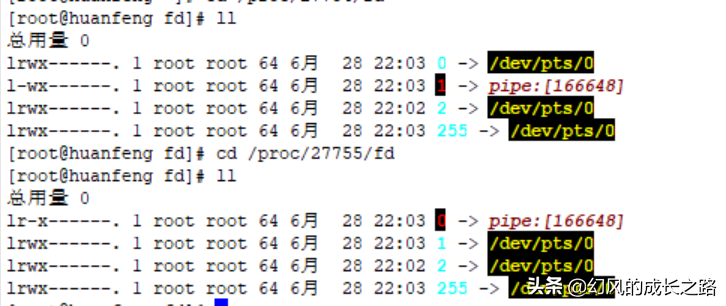 Linux操作系统一切皆文件