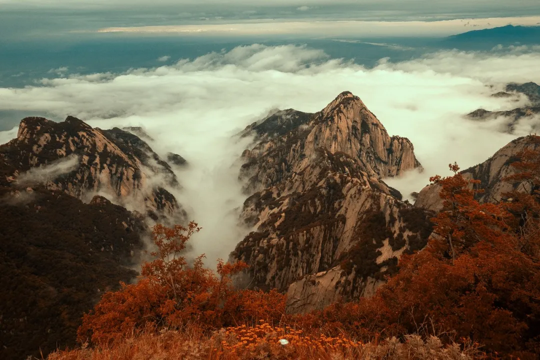 金秋出游 | 华山旅游攻略请查收