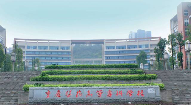 重庆主城沙坪坝区的高校信息来啦