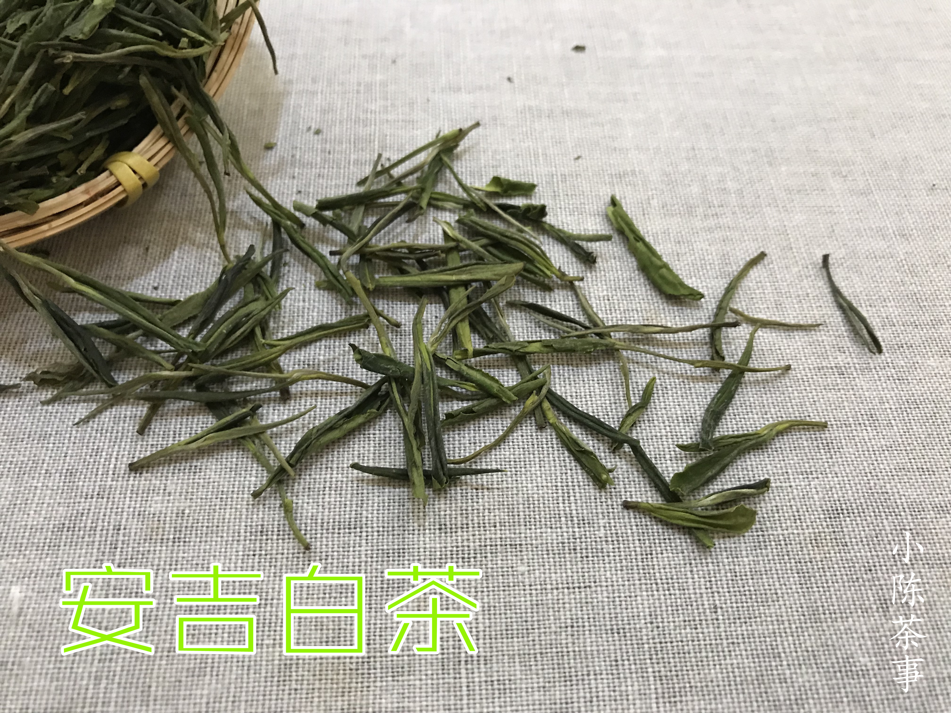 福鼎白茶、安吉白茶、云南月光白，谁才是真正的白茶，你喝对了吗