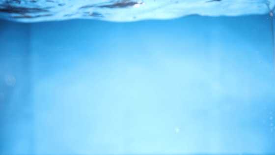 「新品曝光」红外热成像多模北斗定位手机征服S19评测