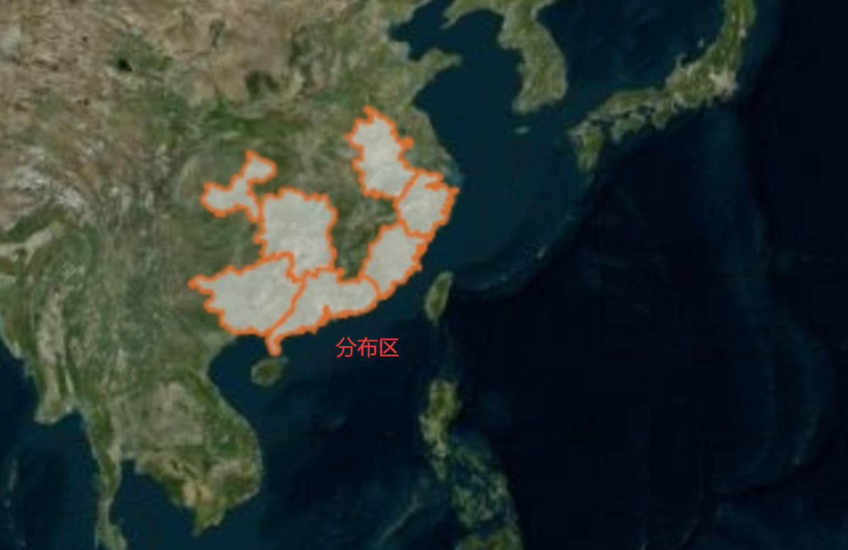 罕见，余杭第1次发现中国瘰螈，杭州仅2次记录，长相类似娃娃鱼