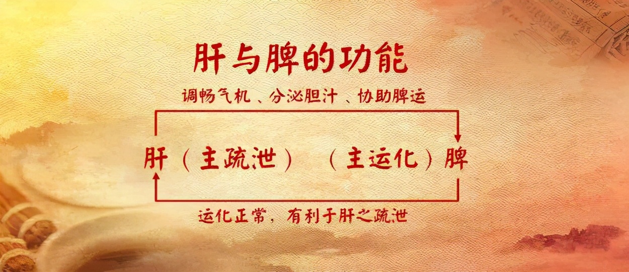 腹泻、腹痛反复？无非这3类原因，中医止泻方，让你摆脱腹泻困扰