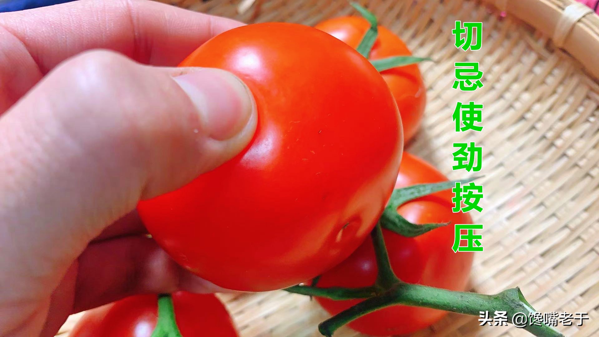現(xiàn)在的西紅柿又酸又硬？老菜農(nóng)：牢記4點(diǎn)，沙甜多汁，一挑一個(gè)準(zhǔn)