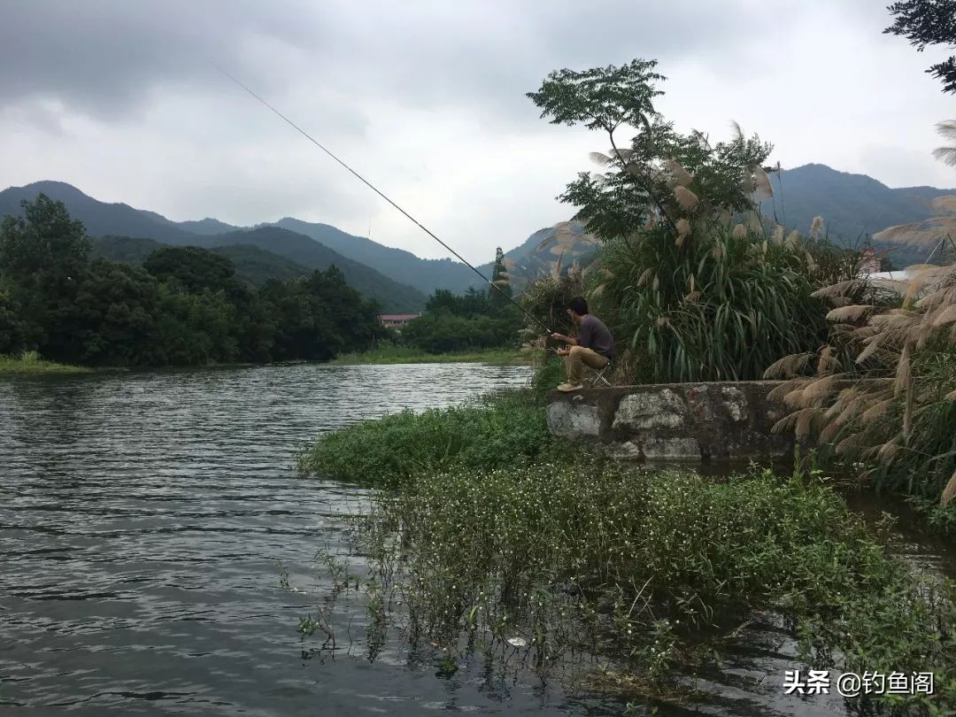 野钓你会用大力马做子线吗？给你提个醒