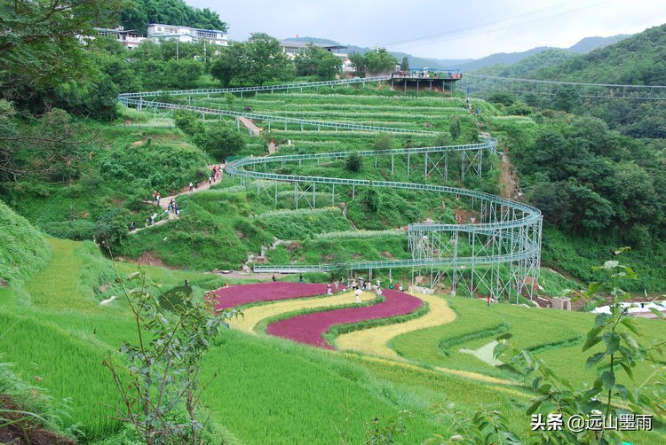 一片五彩稻田，让深藏山中的核桃箐蜚声昆明，青山、绿水，这都有