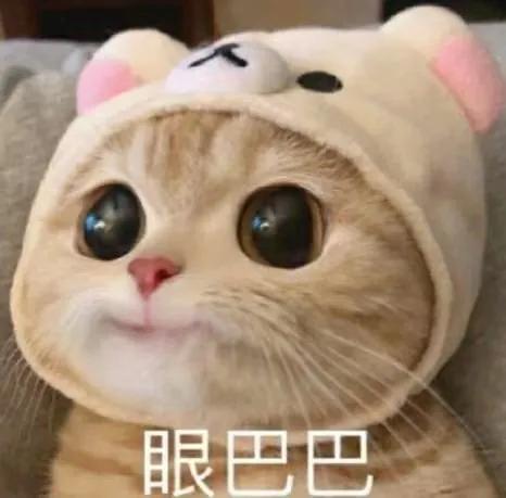 治愈系的唯美句子