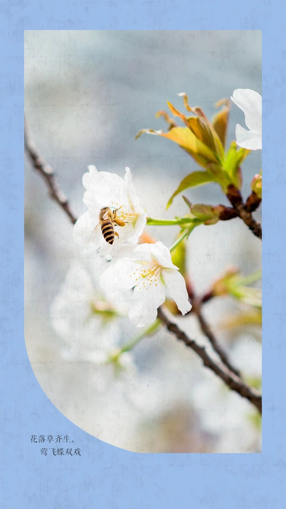 中国这10所大学壁纸第二期！厦门大学、中山大学等在列