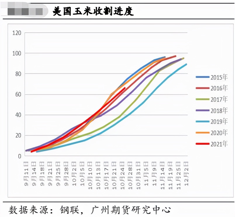 随猪起舞，玉米的天花板有多高？