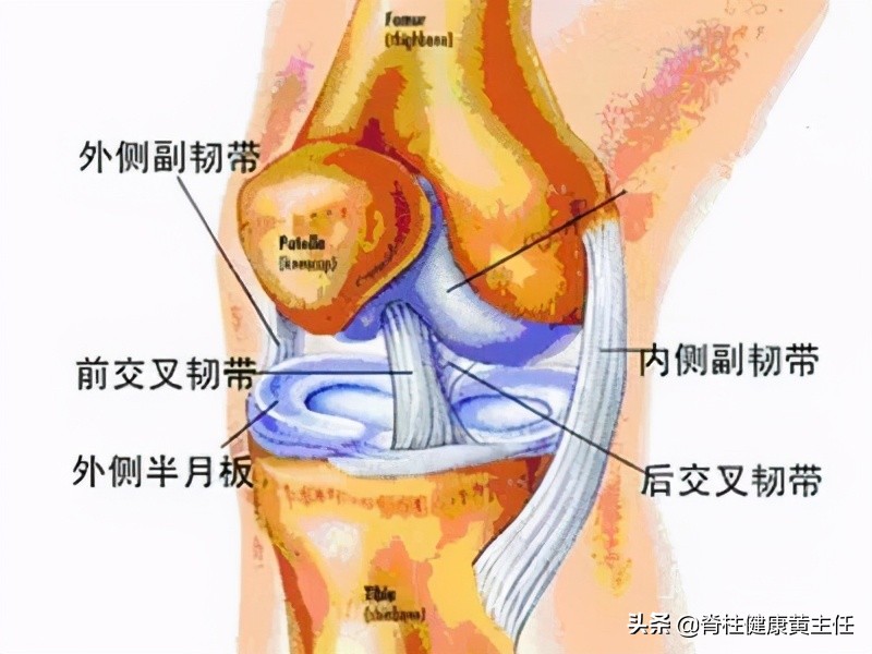 膝关节前交叉韧带撕裂需要手术吗？如何预防膝关节损伤？