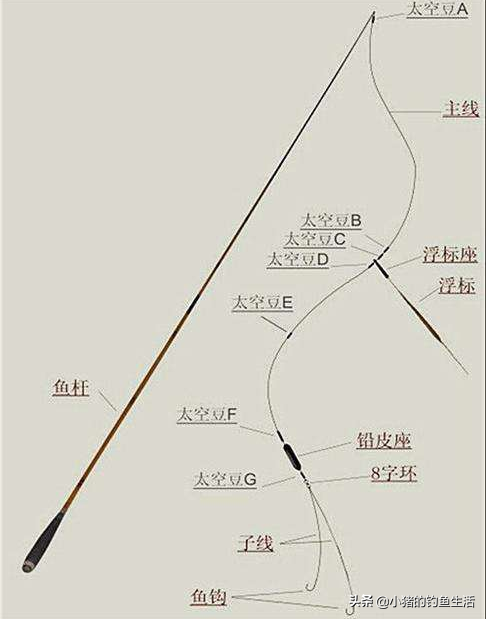 台钓竿和手竿区别（一文为您分析钓竿与手竿的详细区别）