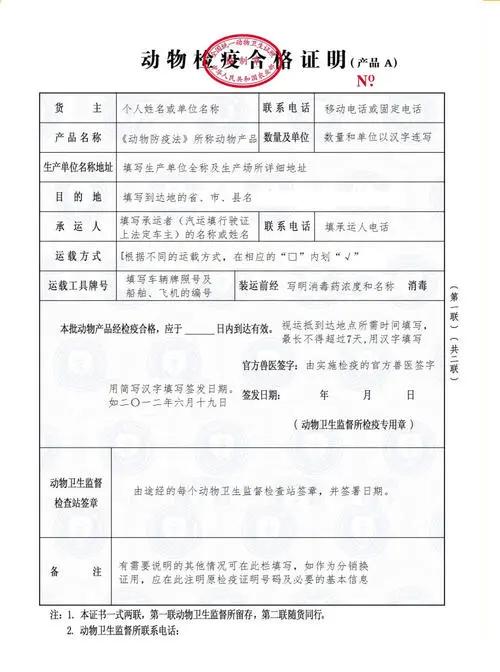 猫咪飞机托运要花多少钱？其实自行托运比某宝便宜且安全的多