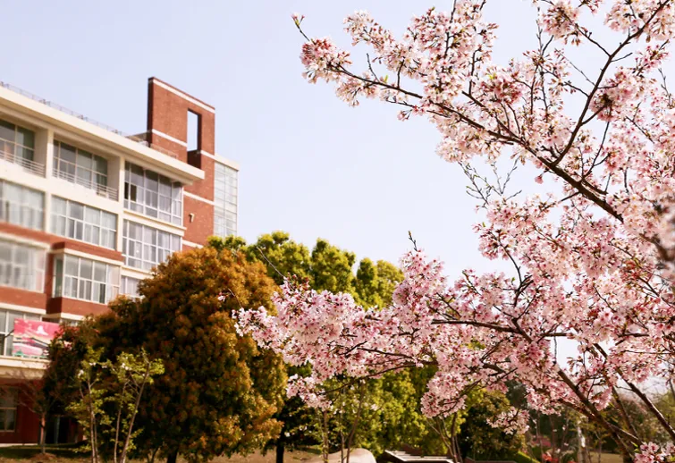 技能高考来啦！2020遇见你，将是外语外事学院最美的期待