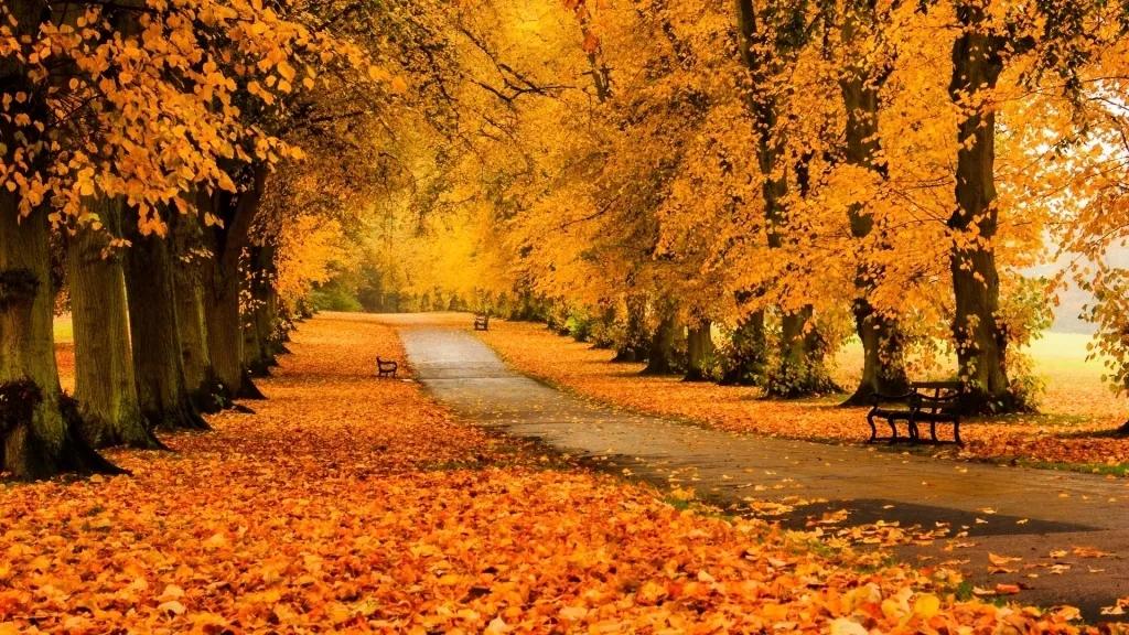 守信，对于做人做事的普遍性意义，经典故事(有关诚信的道理论据)