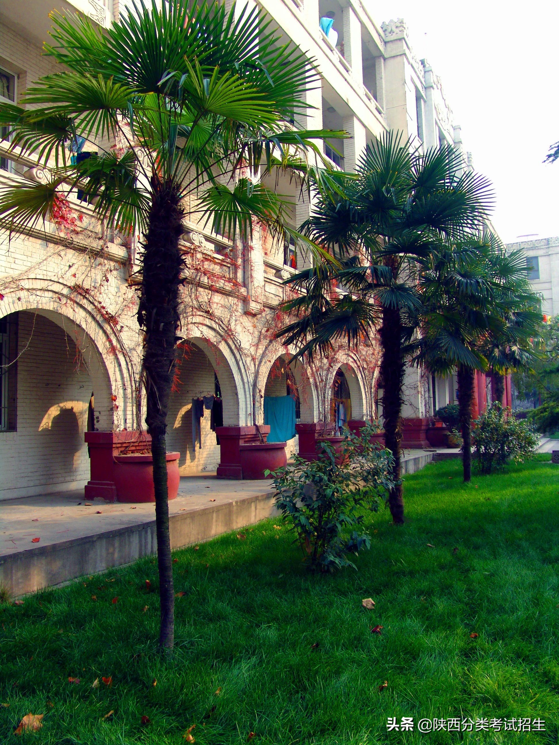 实事求是 朝气蓬勃 ‖ 陕西青年职业学院