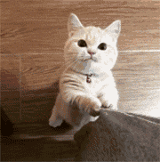 13岁女童网聊被拍裸照性侵：你永远不知道，网线那边是人是鬼